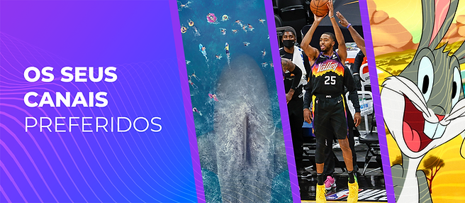 banner_site_oletv.png