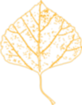 LK-Modern-Line-LeafOnly.png