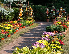 aca777_b3f73756404c462a87d0e11242e5da71.