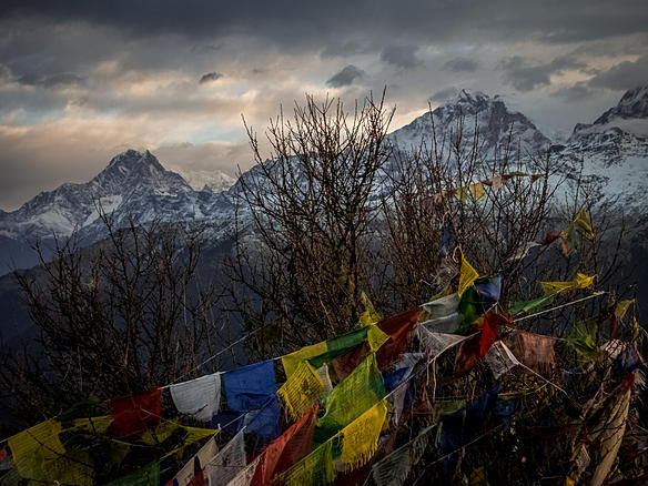 Etapa 2: Ghorepani - Poon Hill - Birethanti - A solas por Nepal. (2)
