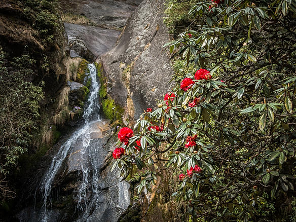 A solas por Nepal. - Blogs de Nepal - Etapa 11: Namche - Lukla (3)