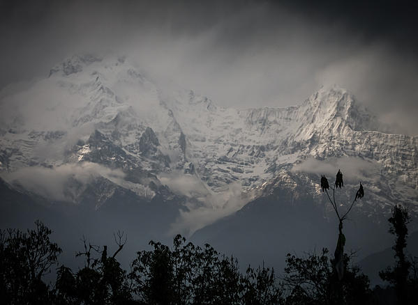 Etapa 1: Khande - Pitam Deurali (Mardi Himal Trek) - A solas por Nepal. (3)