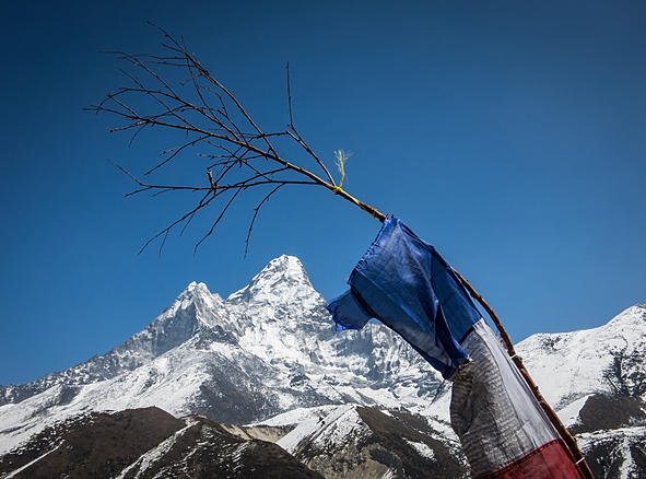 A solas por Nepal. - Blogs de Nepal - Etapa 5: Phortse - Pheriche (2)