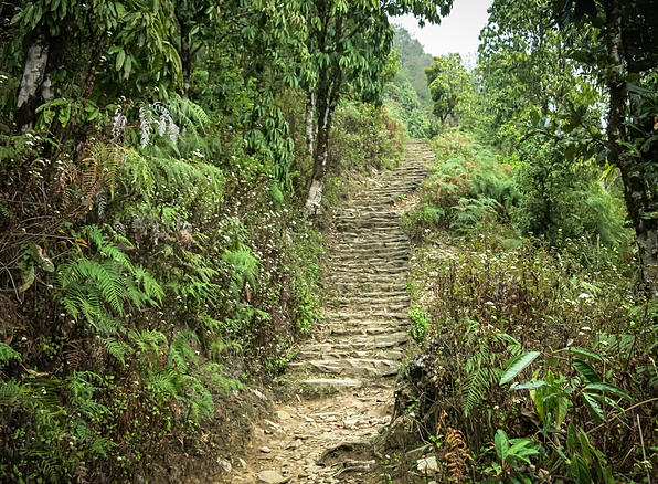 Etapa 1: Khande - Pitam Deurali (Mardi Himal Trek) - A solas por Nepal. (2)