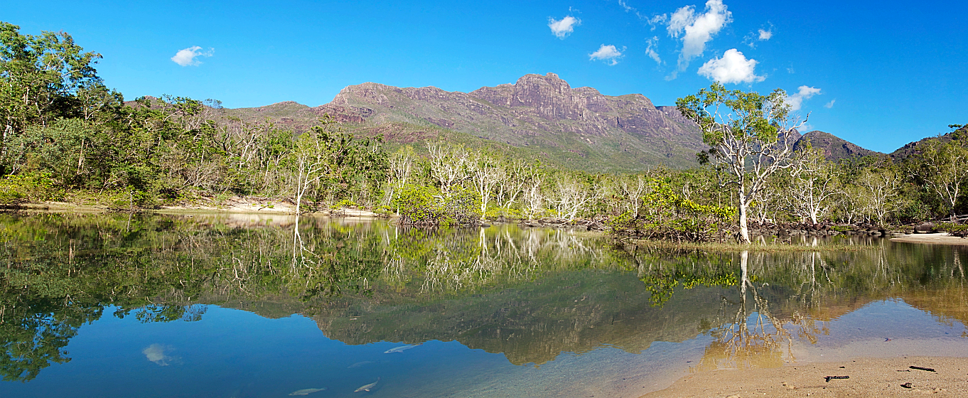 Kayak Vacations in Great Barrier Reef & Hinchinbrook Island Coral Se