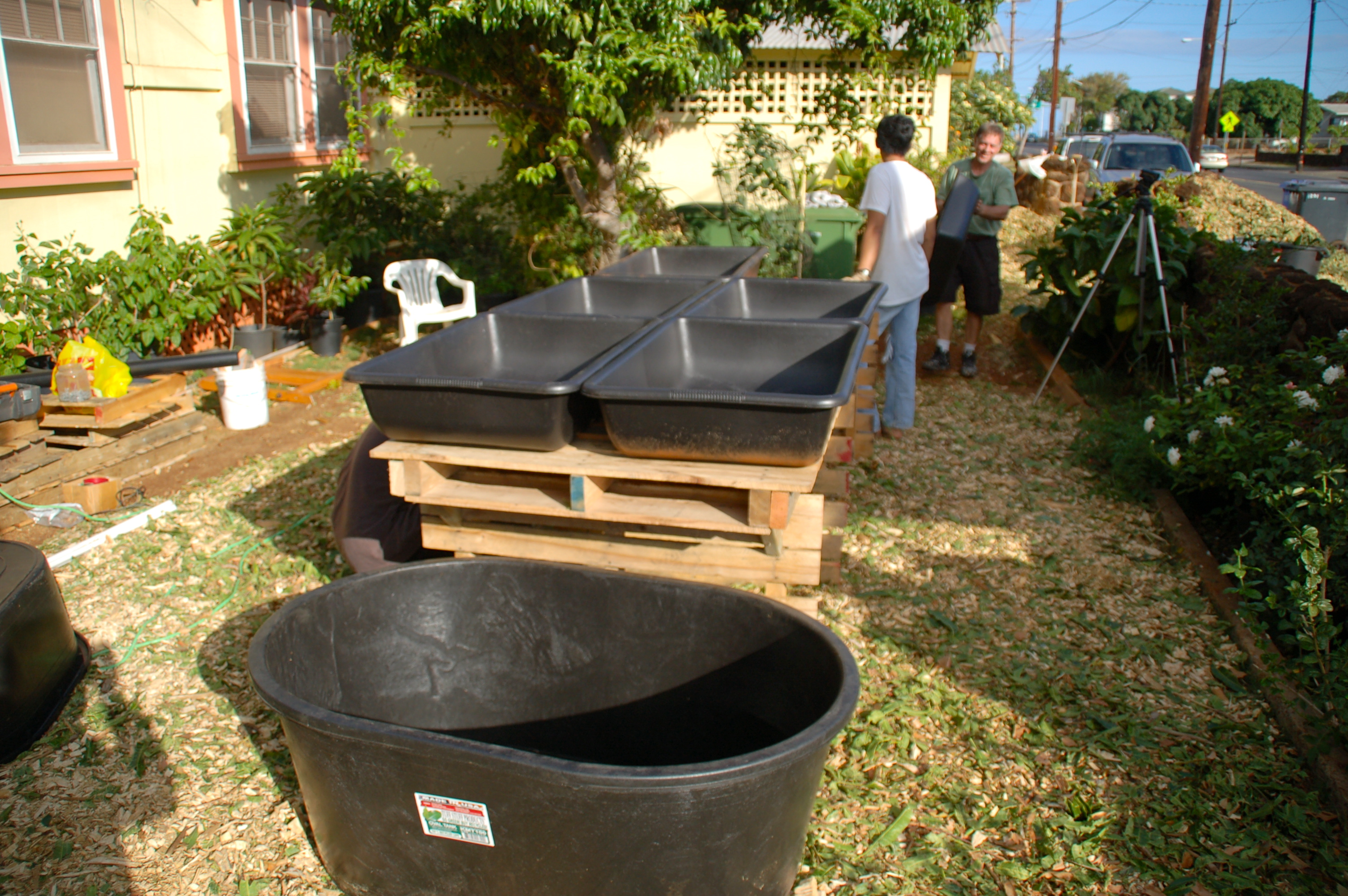 Aquaponic Garden Organic Gardening Oahu Hawaii | KAHALUU 