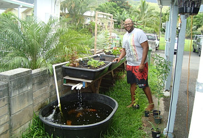 Aquaponic Garden Organic Gardening Oahu Hawaii | KAHALUU 