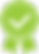 Performance Verification Green.png