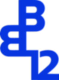 Logotipo BIENAL DO MERCOSUL 12 22k.png