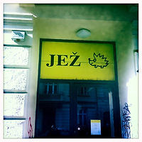 IMG_0059.jpeg