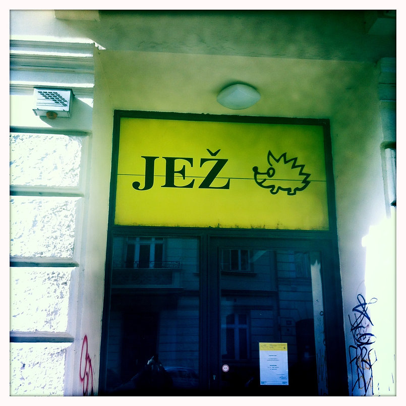 IMG_0059.jpeg