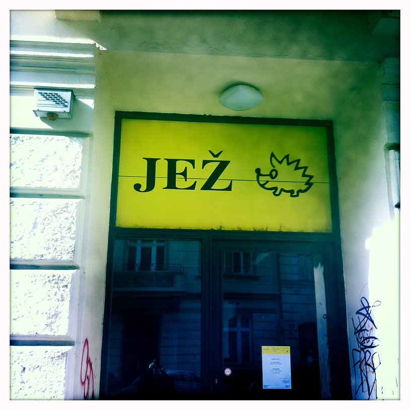 IMG_0059.jpeg