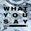 Cold War Kids - What You Say.jpg
