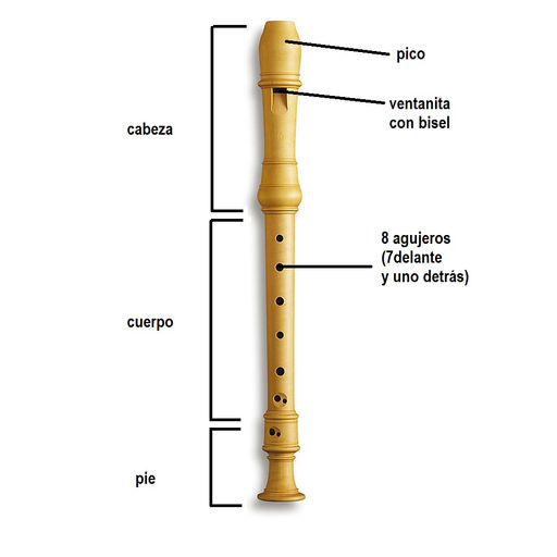 Partes de la flauta dulce Ecoquinto