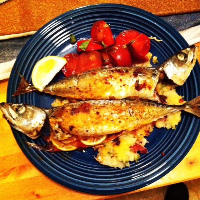 Roasted Mackerel with Garlic and Paprika SEAFORAGER