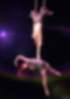 Circus, Trapeze, unique entertainment