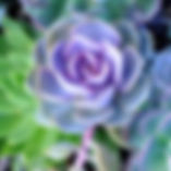 AdobeStock_121850326.jpeg