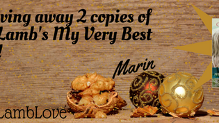 Cathy Lamb Book Giveaway #CathyLambLove