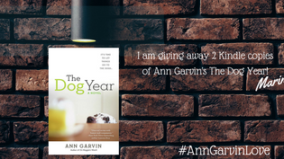Ann Garvin Book Giveaway #CountdownToPromise #AnnGarvinLove