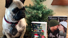 Bug the Frug Holiday Giveaway!