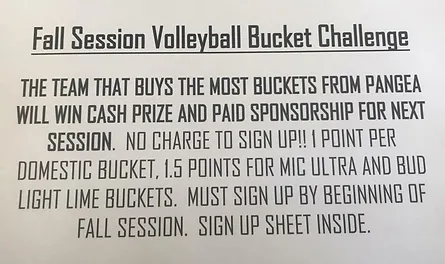 new town volleyball in saint charles