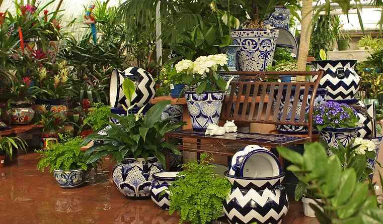 Berridge Nurseries Nursery In Phoenix Az