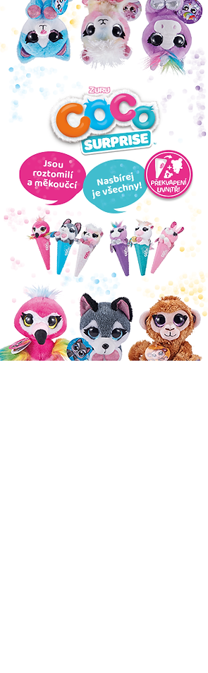 Epee_banner_310x1000_COCO.png