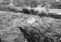HILLTOP DOC PHOTO CHAPTER 7