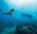 Woman Snorkeling with Stingray