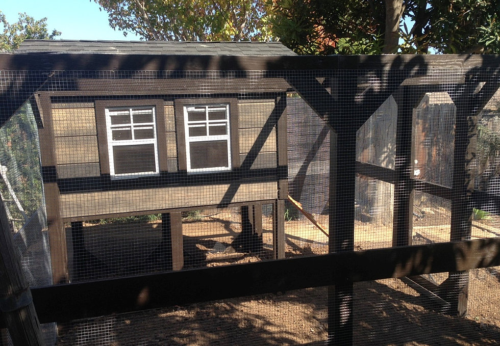 Custom Chicken Coops