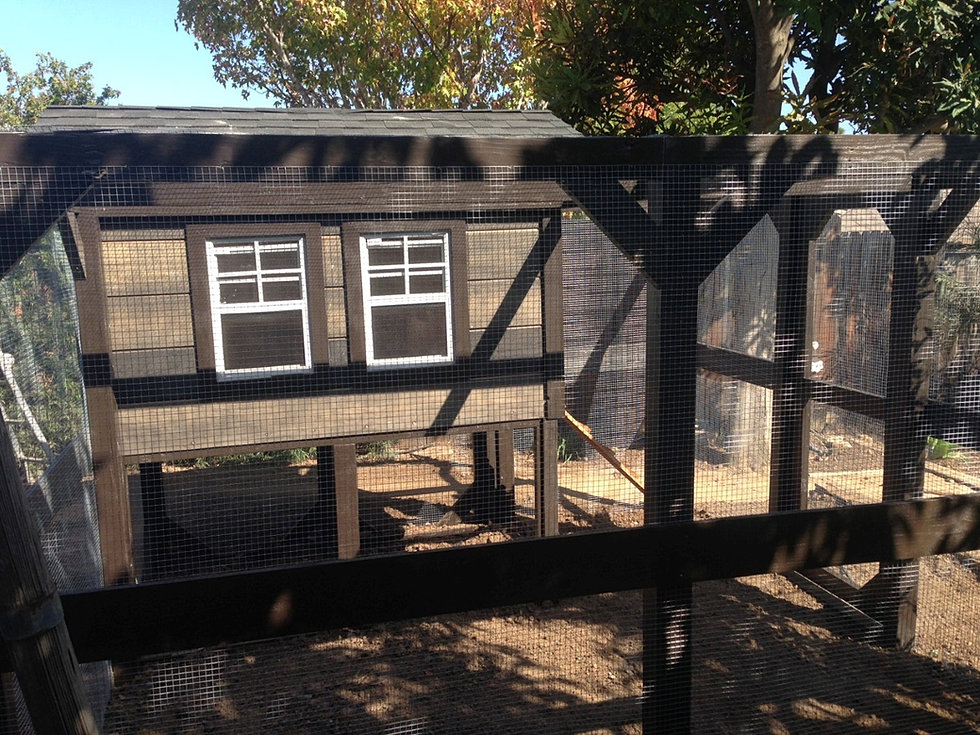 Custom Chicken Coops