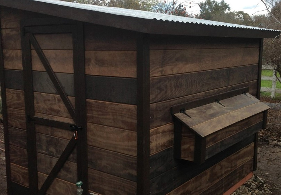 Custom Chicken Coops