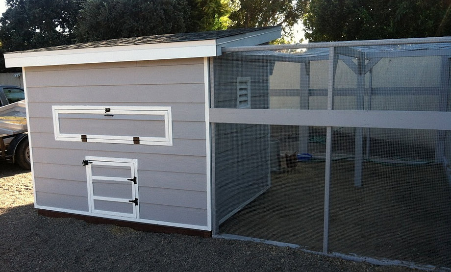 Custom Chicken Coops