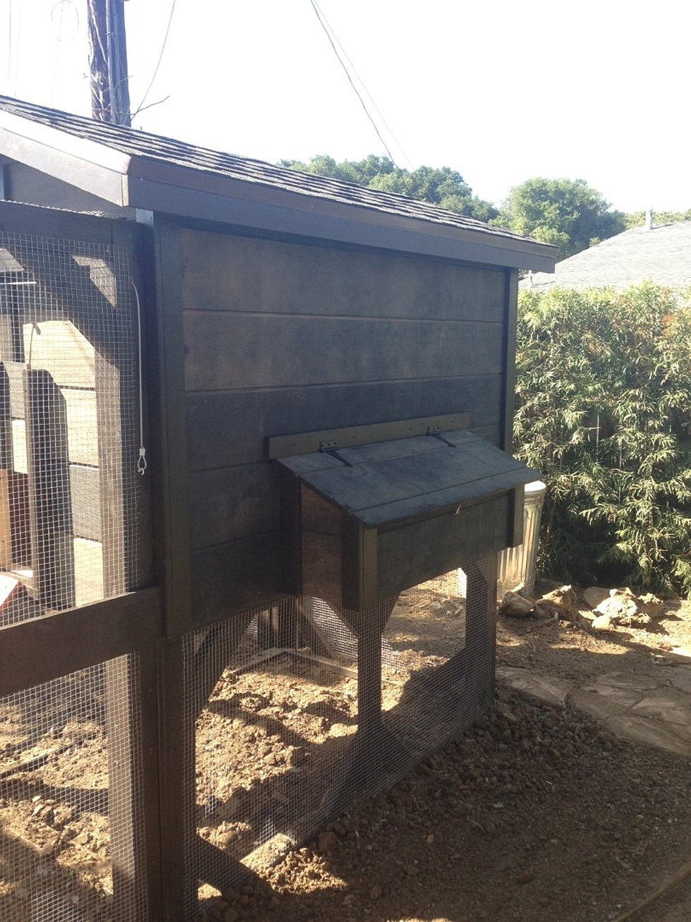 Custom Chicken Coops