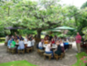 Dining under the Japanese Cherry Tree