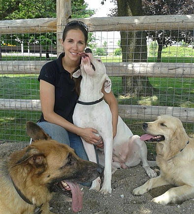 Toronto Dog Walking