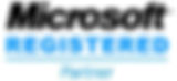 Microsoft Partner
