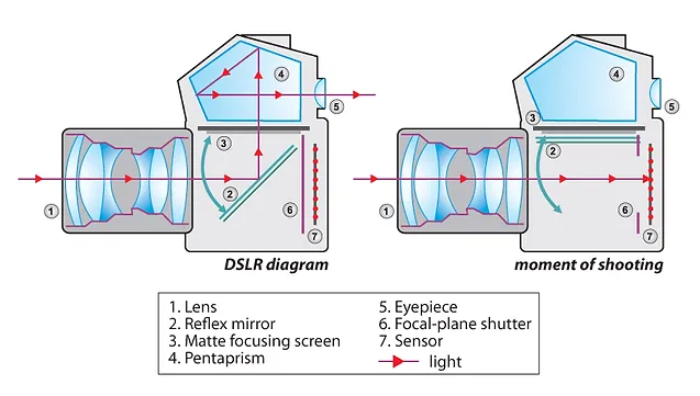how a dslr camera works opticsdslr how dslr works