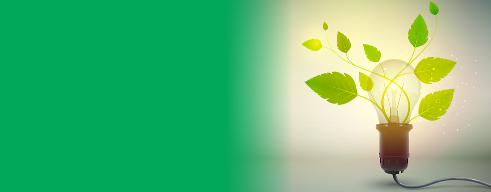 Pagina_Empresa Verde.png
