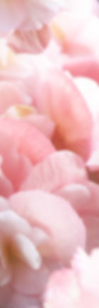 Rose peta keepsake jewlry