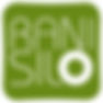 RaniSilo logo