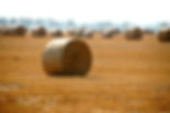 Silage cover