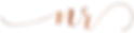 gold NR-01.png