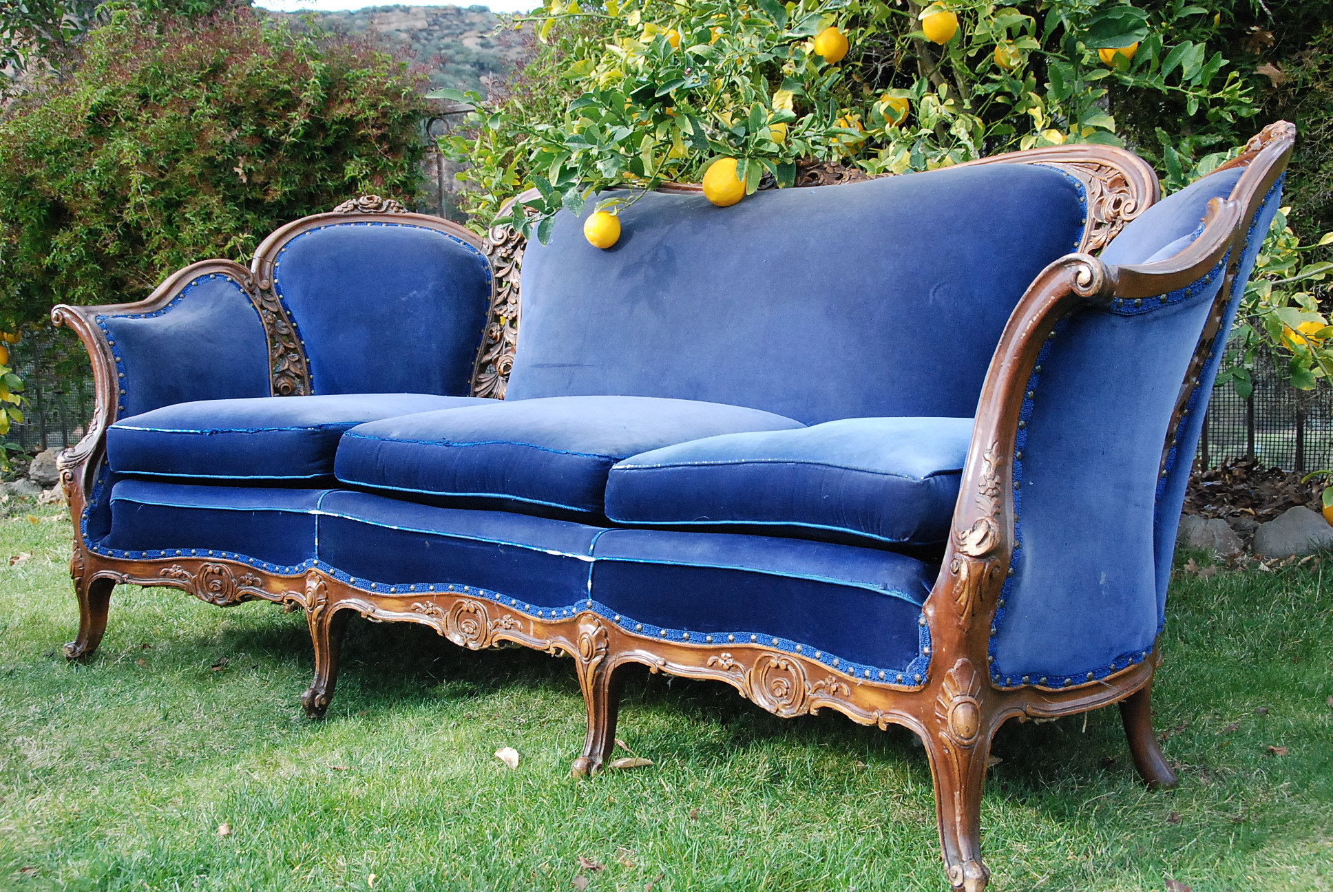 Salt Buffalo Vintage Furniture Rental Royal Blue Velvet Sofa