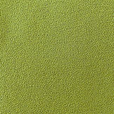 Vulcan Wasabi.jpg