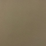 Thunder Taffeta Low Res.jpg