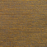 Radiate Maize Low Res.jpg