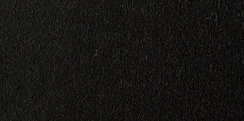 Blazer_Crow Low Res.jpg