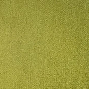 Blazer_Penola Low Res.jpg