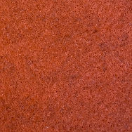 Buzziskin Orange High Res.jpg